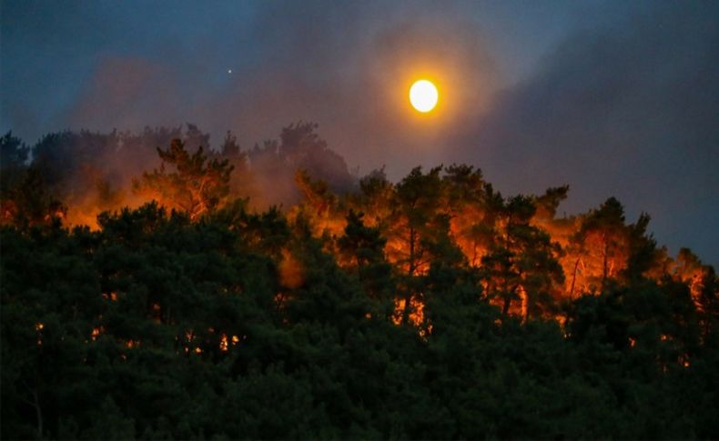 İzmir Orman Bölge Müdürlüğünden yangın raporu