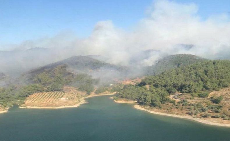 İzmir Orman Bölge Müdürü'nden 'mangal' uyarısı