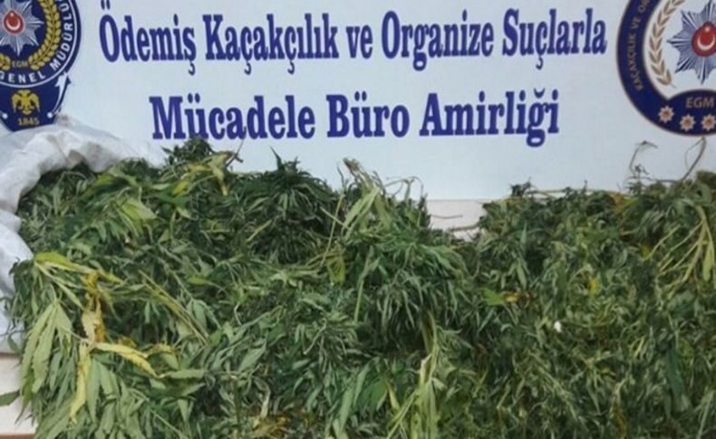 İzmir polisinden uyuşturucu operasyonu