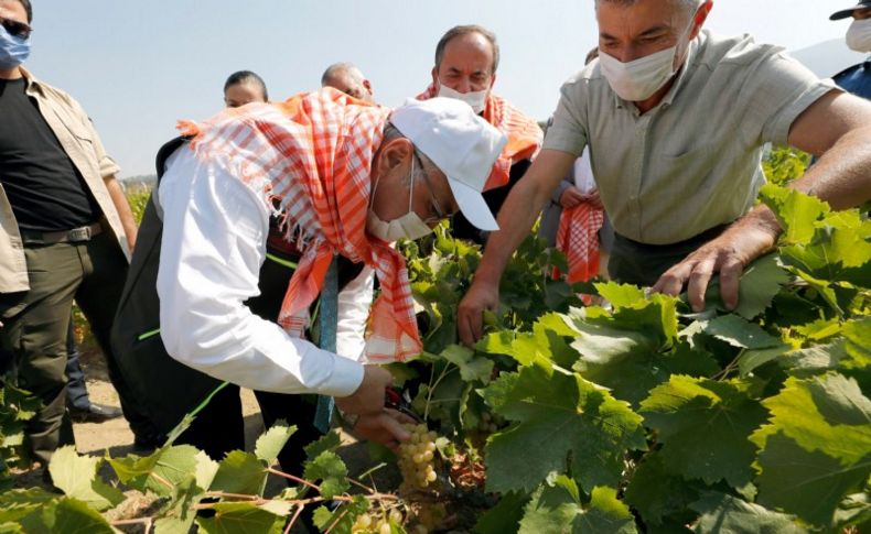 İzmir Valisi Köşger, Selçuk'ta incelemelerde bulundu