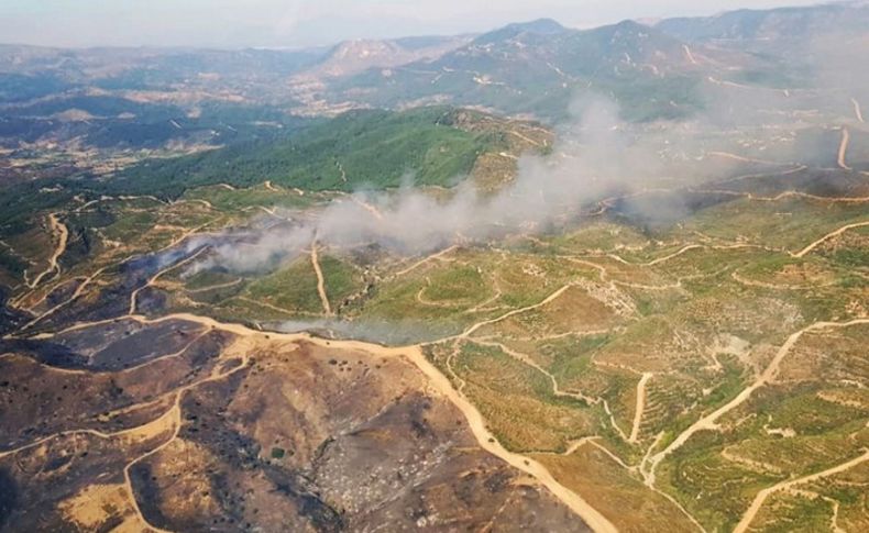 İzmir ve Manisa'daki yangınlar kontrol altına alındı