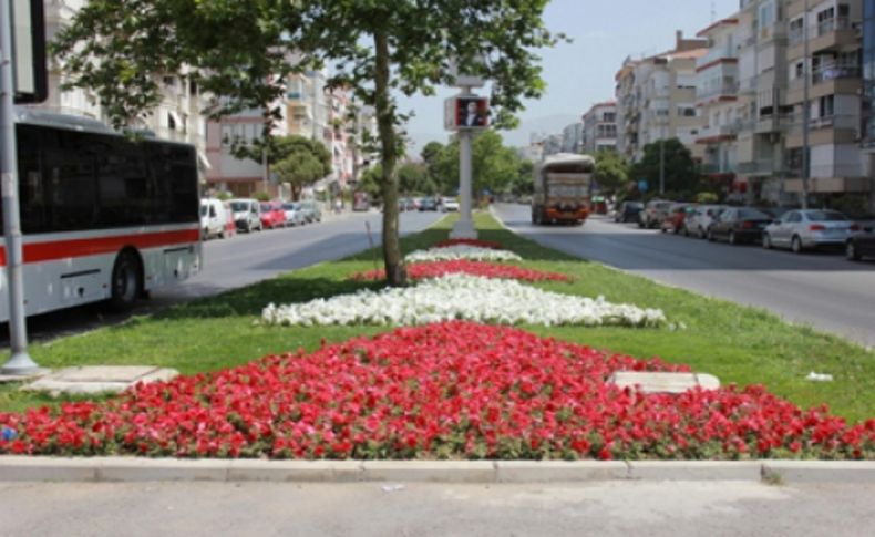 İzmir çiçek açtı, gitti godetya, geldi petunya