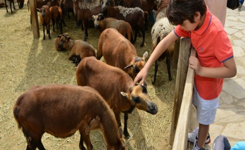 İzmir Doğal Yaşam Parkı'nın ziyaretçi sayısı 79 şehrin nüfusunu aştı