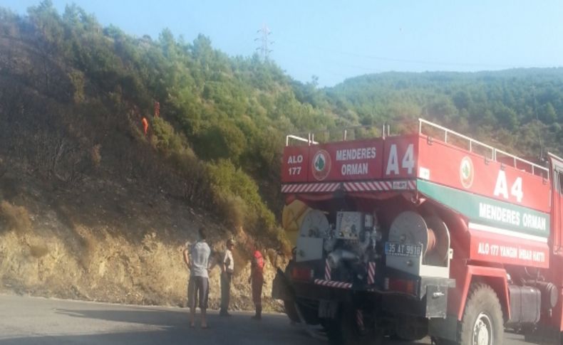 İzmir'de çıkan orman yangını söndürüldü
