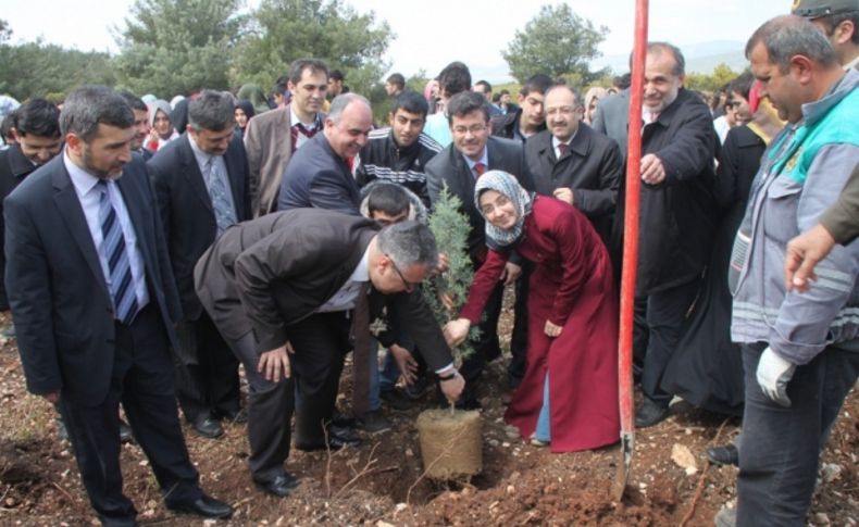 İzmir'de Kutlu Doğum için 5 bin fidan dikildi