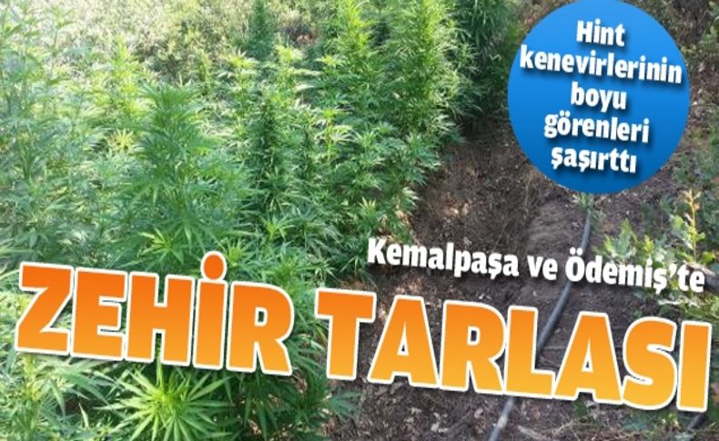 İzmir'de uyuşturucu operasyonu