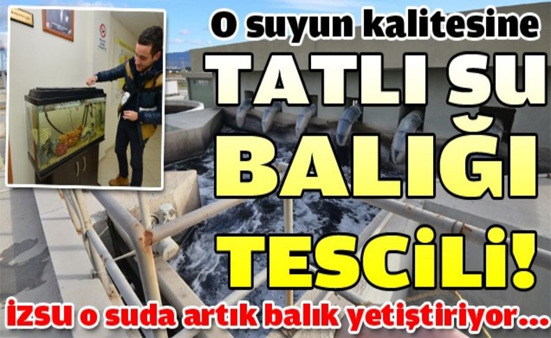 İzmir’in arıtma suyunda “tatlı su balıkları” yüzüyor