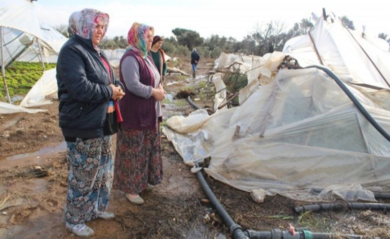 İzmirli üreticilerin emeklerini kar vurdu