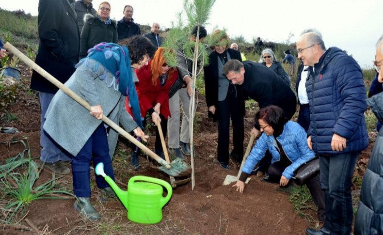 İZSU, 6 bin ağaçlık hatıra ormanı