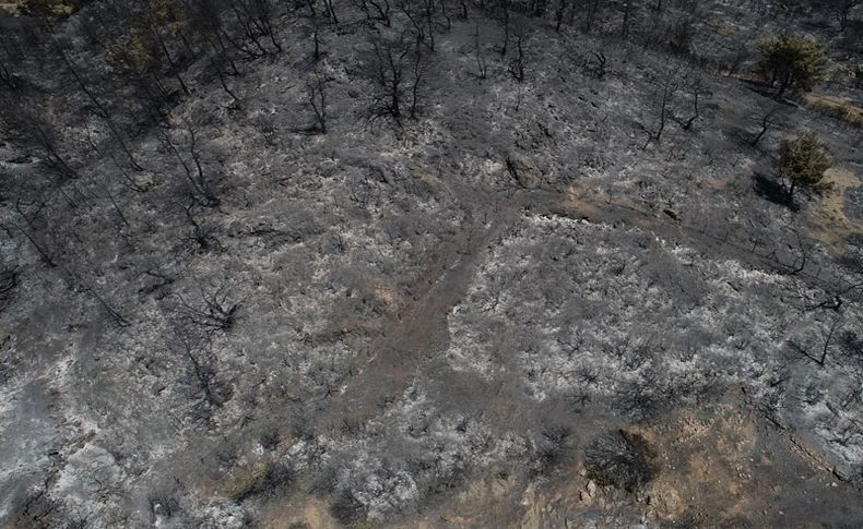 İZVAK'tan doğal yaşama destek çağrısı