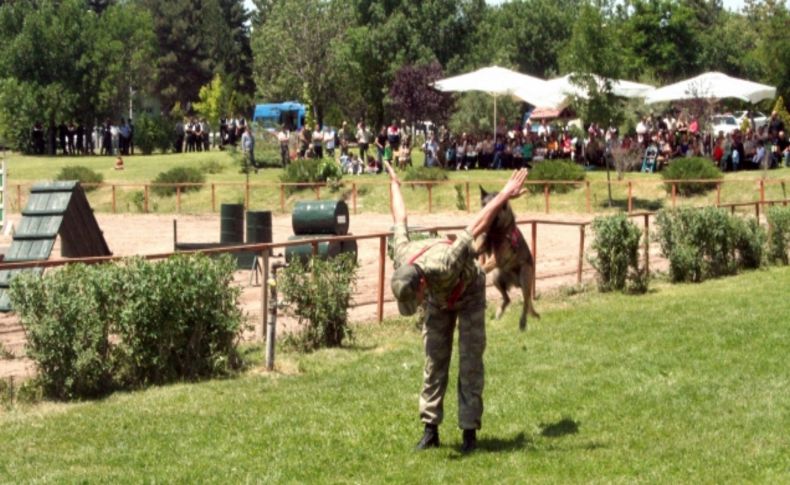 Jandarma eğitimli at ve köpeklerinin gösterisi nefesleri kesti
