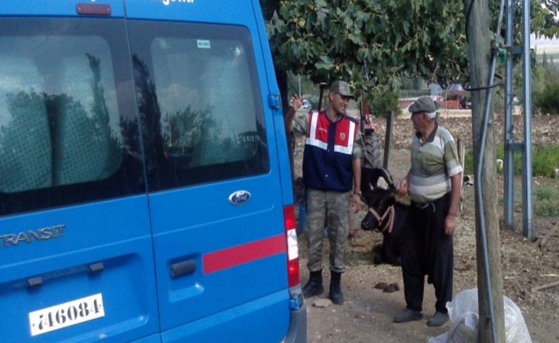 Jandarma, Kurban Bayramı öncesi vatandaşları uyardı