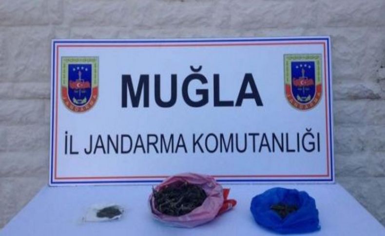 Jandarmadan uyuşturucu tacirlerine darbe