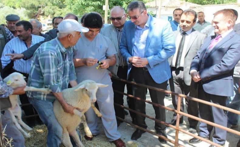 İzmir'de elektronik küpe dönemi!