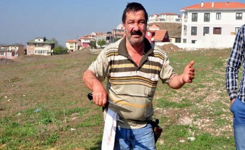 Kaçan Boğayi Yakalamak Için Kamyonetle Inek Getirdiler
