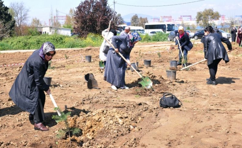 Kadın Kent Gönüllüleri, fidanlık oluşturdu