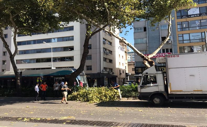 Kamyonet çınar ağacına çarptı, tramvay seferleri aksadı