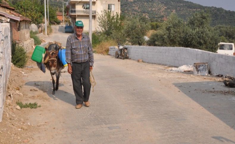 Yıl 2016; Eşekle su servisi