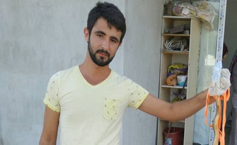 Sıcaklar yılanı deliğinden çıkardı