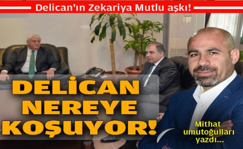 Delican nereye koşuyor