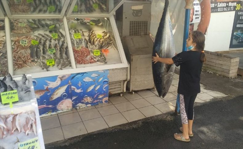 Karaburun'da 50 kiloluk orkinos, ilgi odağı oldu