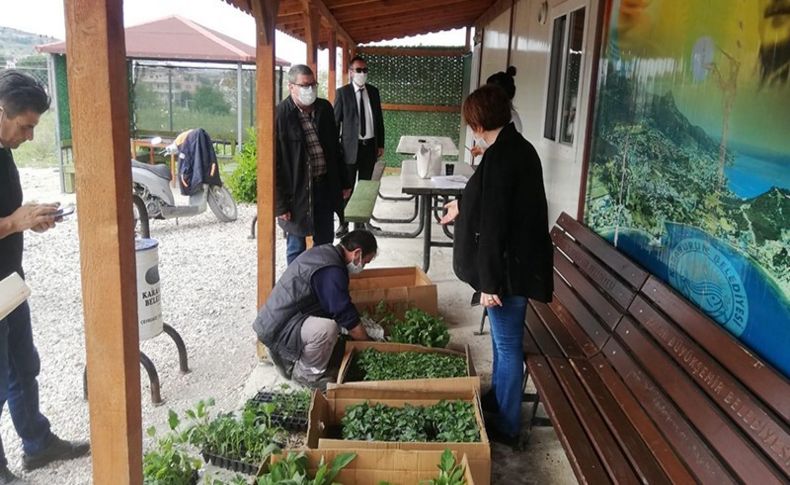 Karaburun’da ekilmeyen tek karış toprak kalmayacak