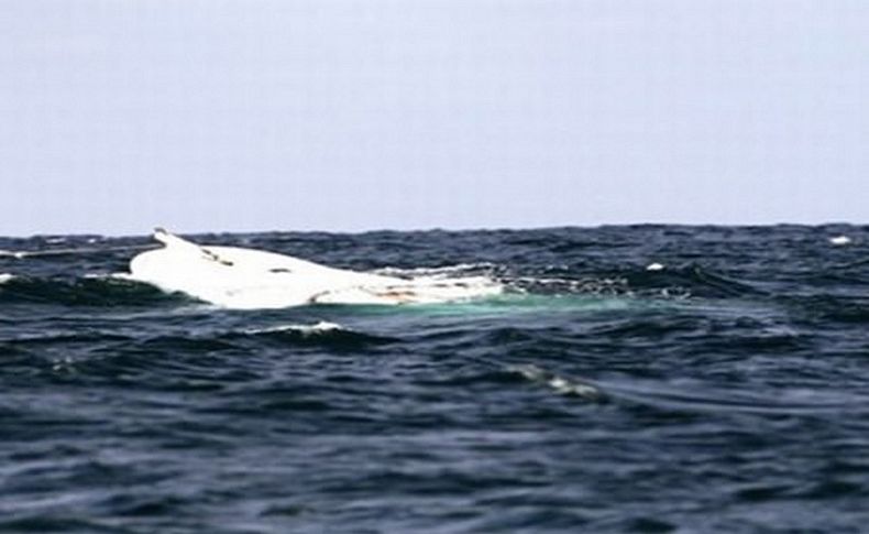 Karaburun'da kaçakları taşıyan tekne battı