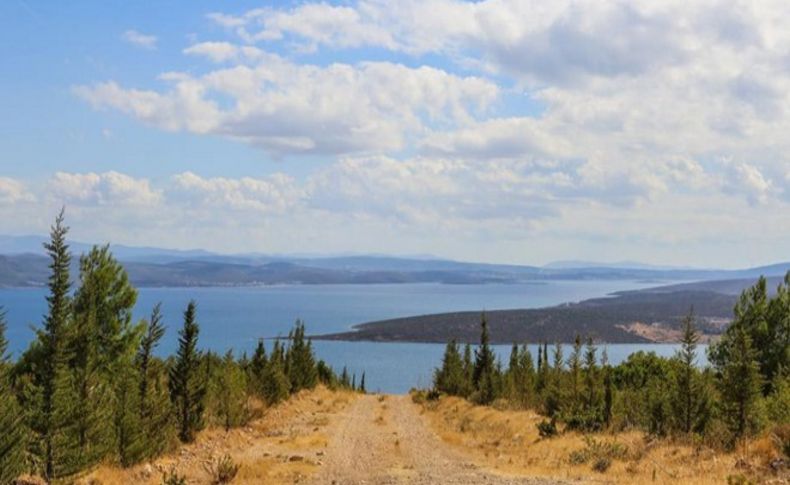 Karaburun Yarımadası'na 400 bin fidan