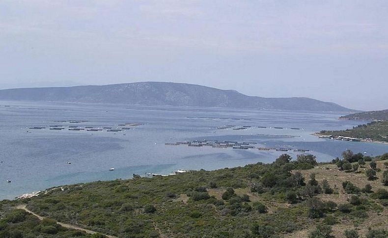 Karaburun Yarımadası'nda balık çiftliği tepkisi