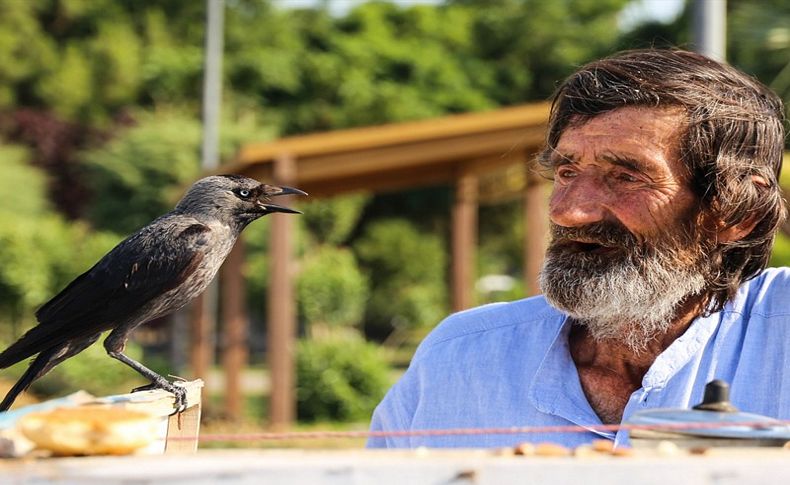 Karga'yla servis ilgi odağı