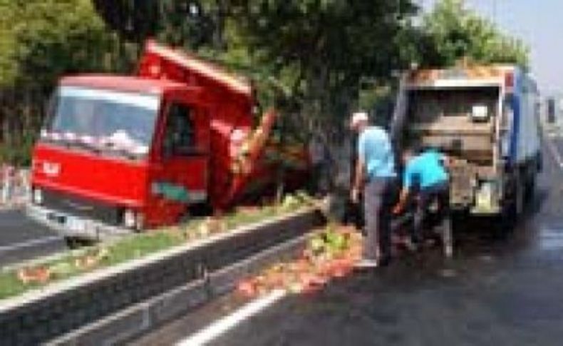 Karpuzlar yola saçıldı