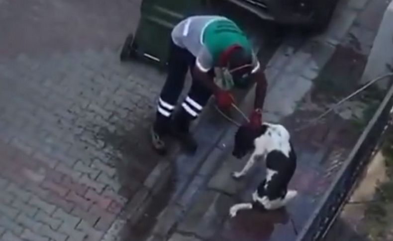 Karşıyaka’da belediye işçisi köpeği hortumla yıkadı! O anlar büyük beğeni topladı