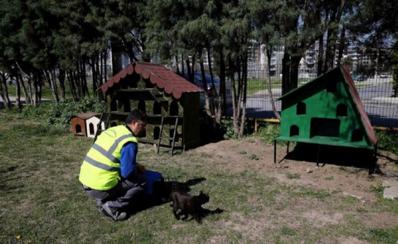 Karşıyaka’da ‘evsiz’ kedi kalmayacak