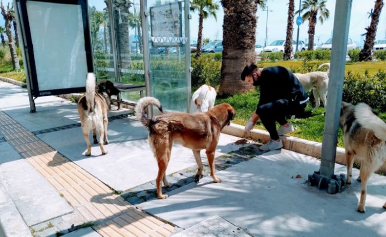 İzmir’de sokak hayvanları için mama seferberliği