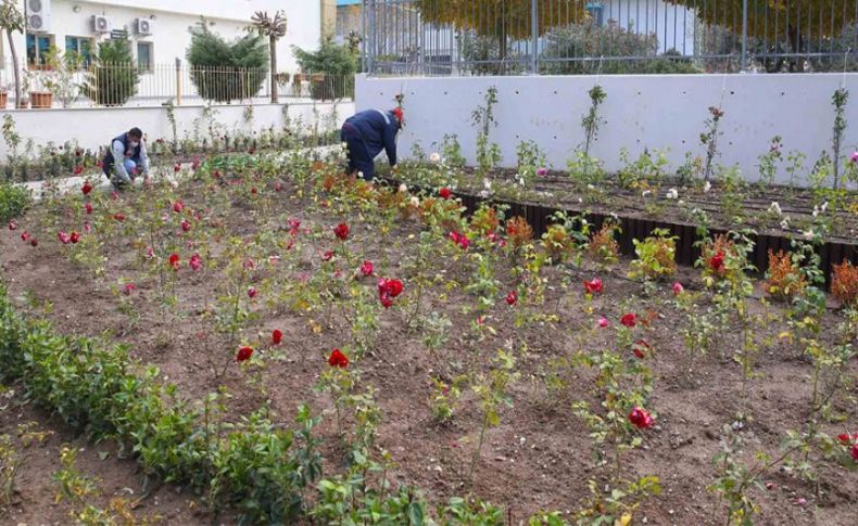 Karşıyaka’ya yeni gül bahçesi