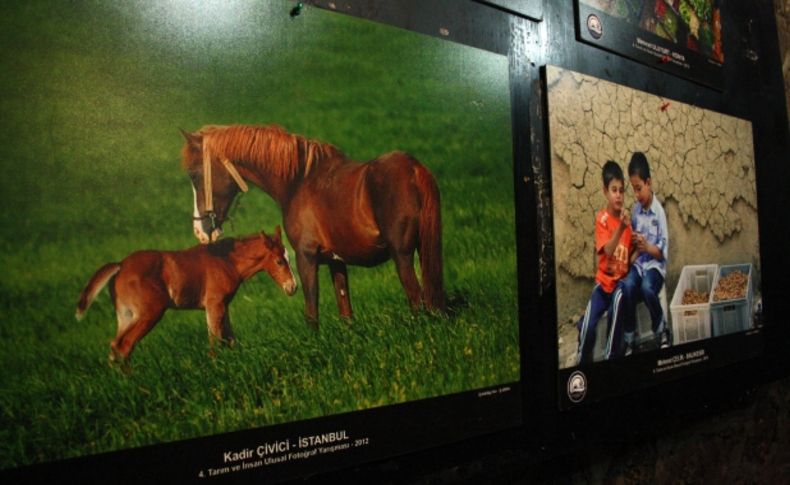 Kars’ta tarım ve insan fotoğraf sergisi