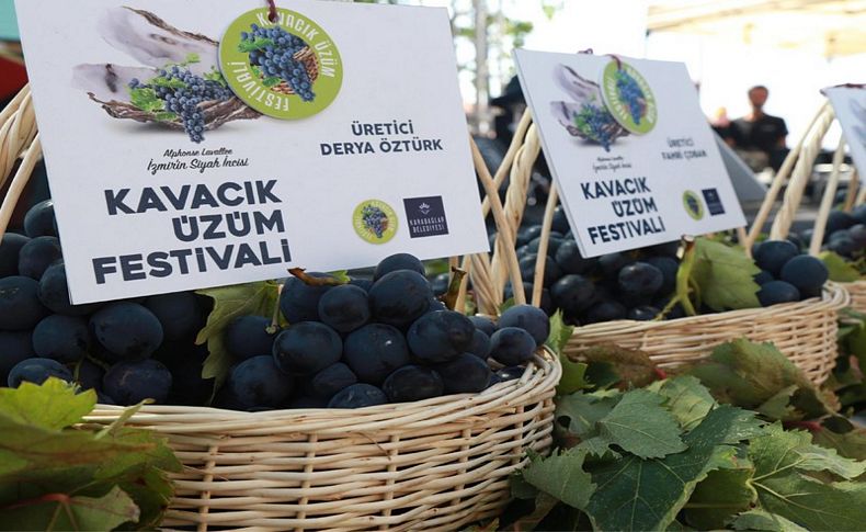Kavacık, Üzüm Festivali'ne hazır