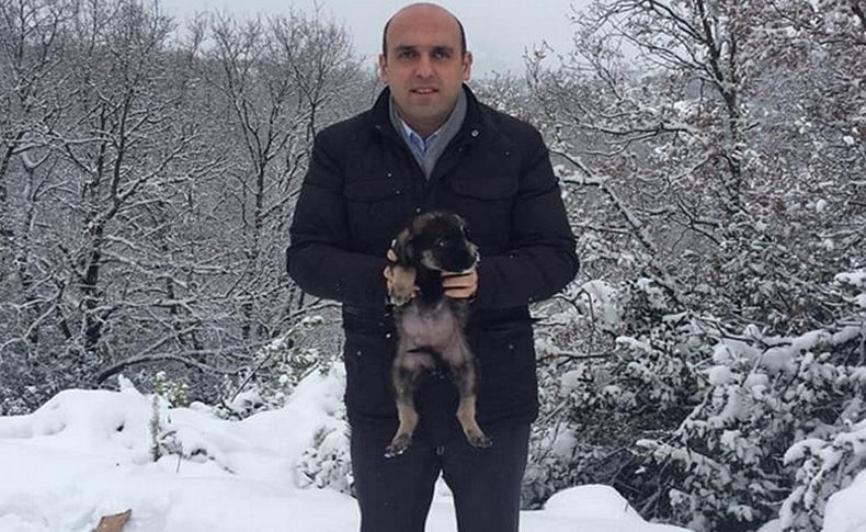 Kaymakam, köpek yavrularını karda donmaktan kurtardı