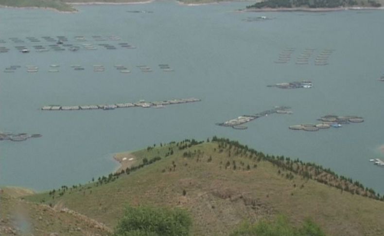 Keban Alabalık Tesisleri büyümeye devam ediyor