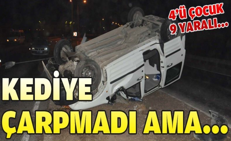 Kediye çarpmamak için kaza yaptı: 9 yaralı