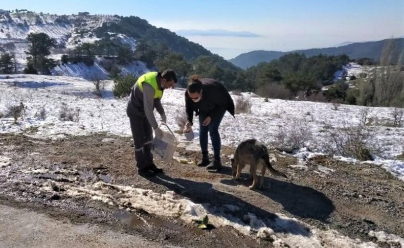 Kemalpaşa Belediyesi can dostları unutmuyor