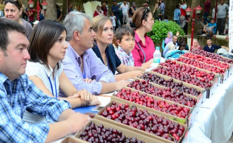 Kemalpaşa'da kiraz festivali heyecanı