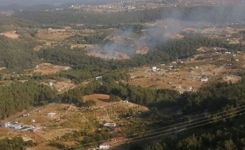 Kemalpaşa'daki yangın büyümeden söndürüldü