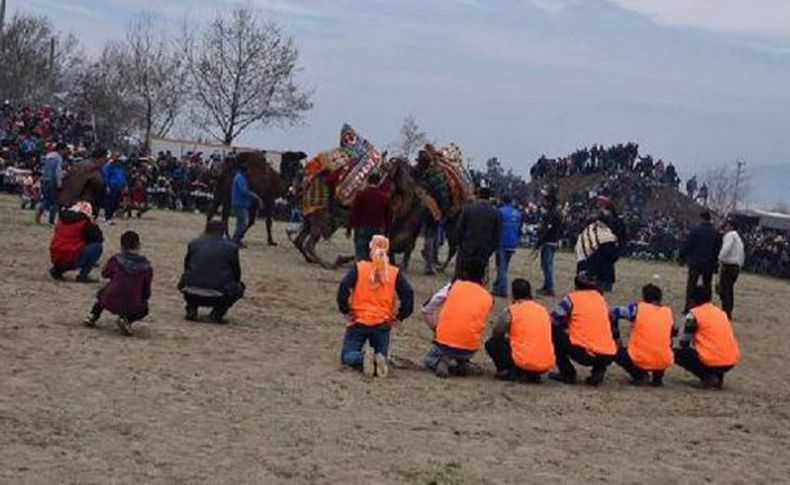 Kemalpaşa 'karantinada' deve güreşleri süresiz ertelendi