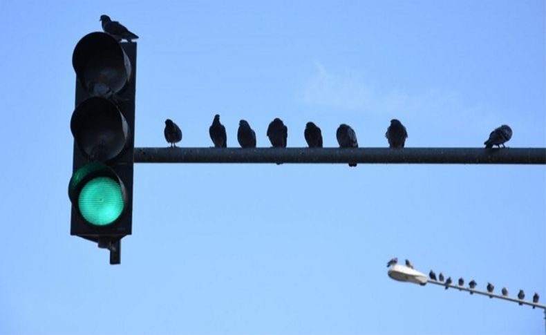 Kent trafiğine kuşbakışı