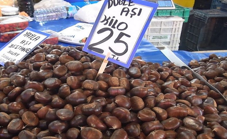 Kestane altın gibi