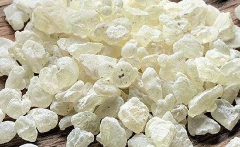 Kilosu 1100 lira! Yeni gelir kapısı olacak