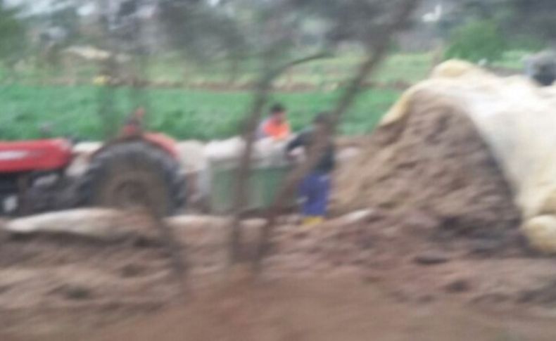 Kiraz'ı karıştıran fotoğraf! Belediye değil, 'dayısının çiftliği'