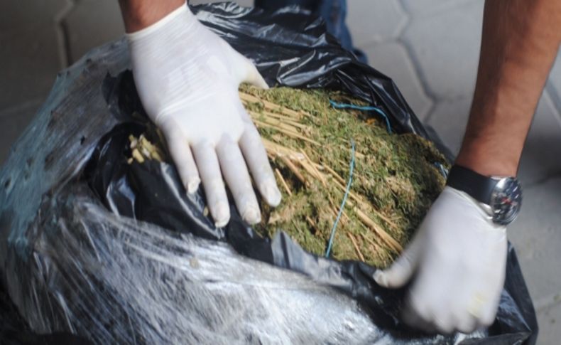 Kırıkkale'de 100 kilo esrar yakalandı