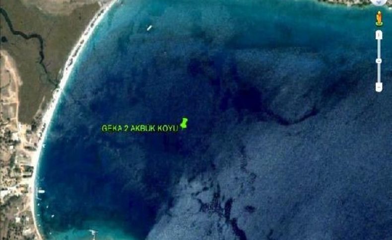 Kirlilik, Deniz Çayirlarini Yok Ediyor